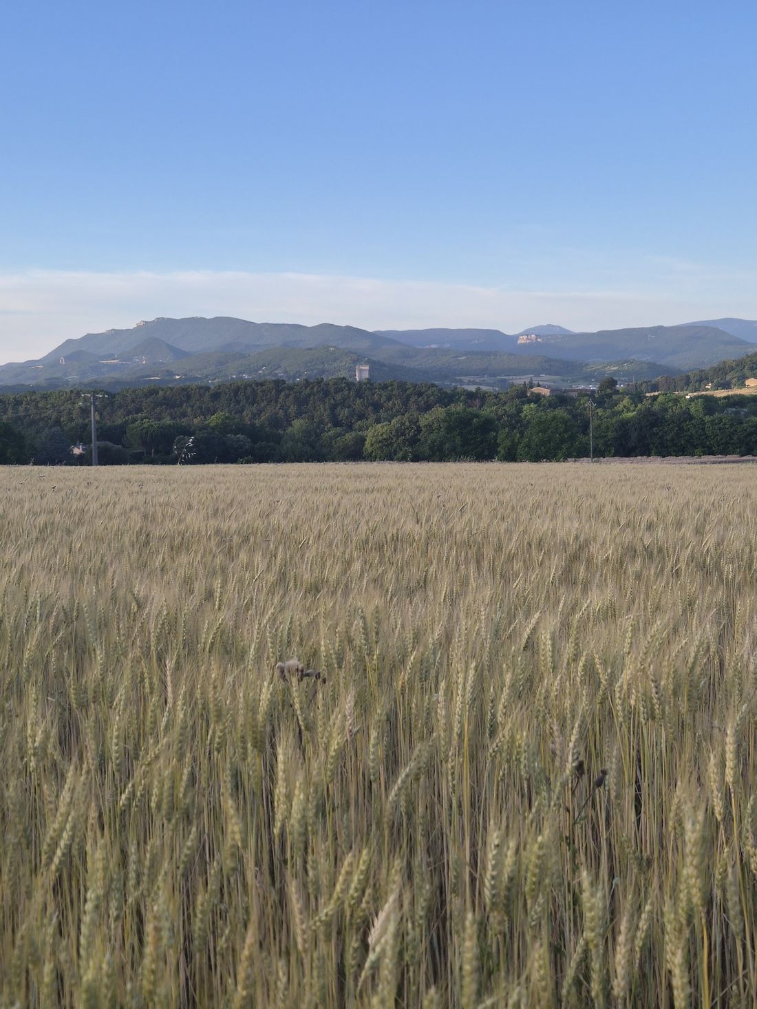 Champs et collines autour de Divajeu